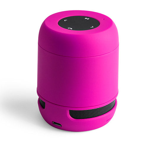 Altavoz Braiss (5)