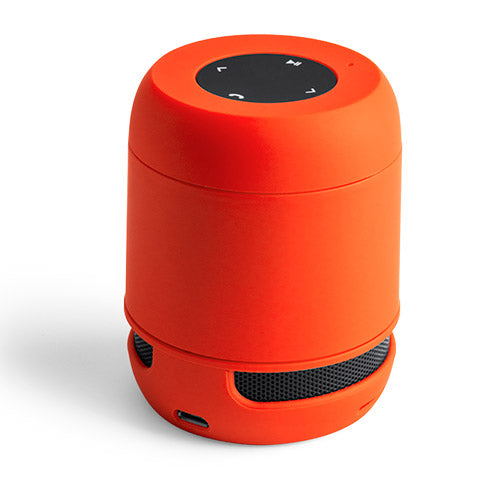 Altavoz Braiss (6)