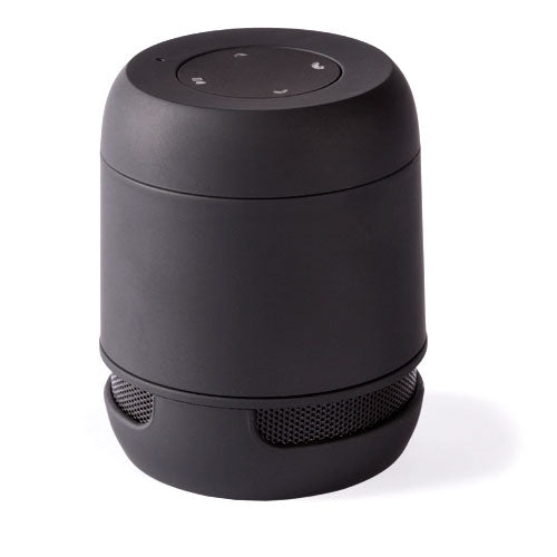 Altavoz Braiss (7)