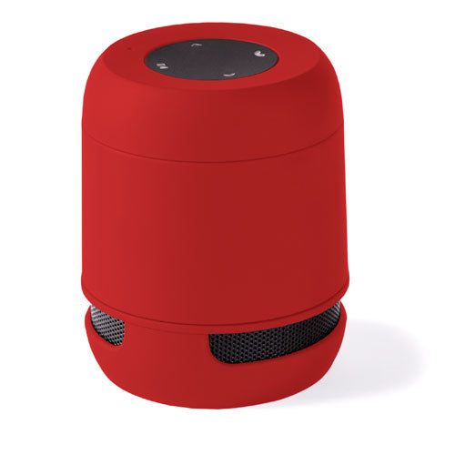 Altavoz Braiss (8)