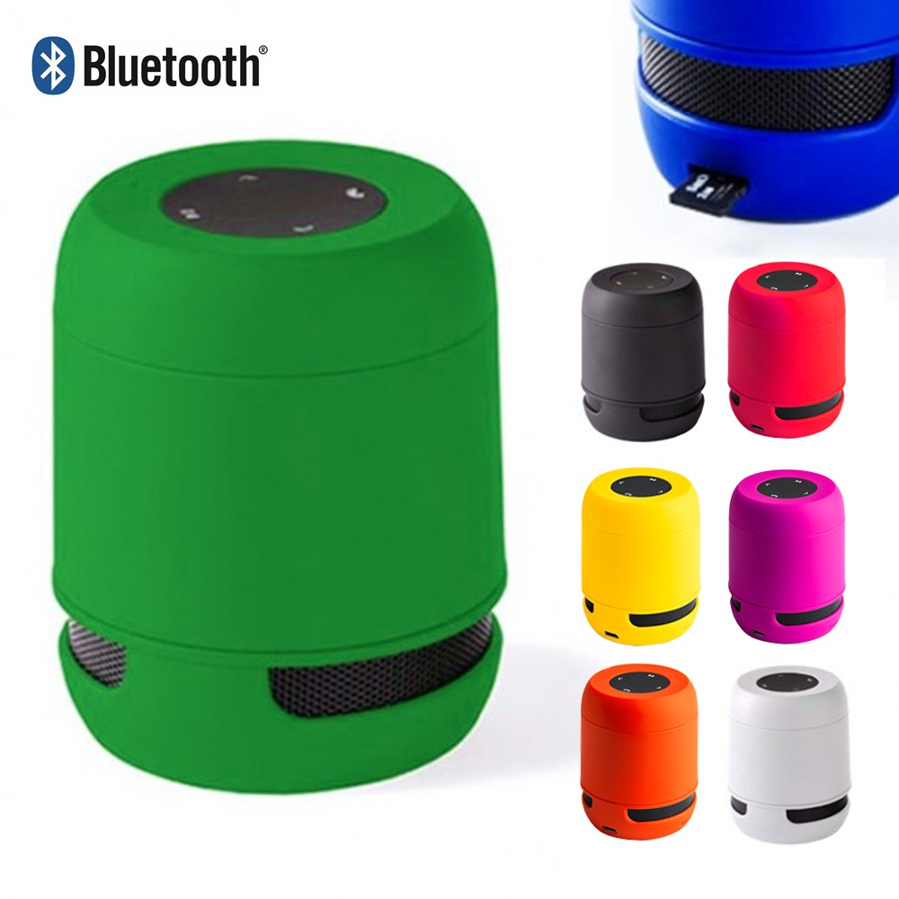 Altavoz Braiss (1)