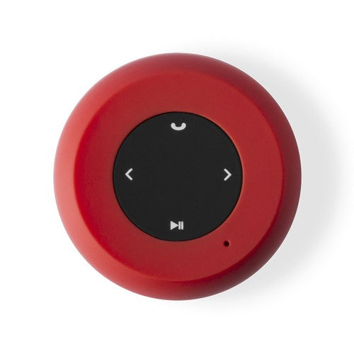 Altavoz Braiss (10)