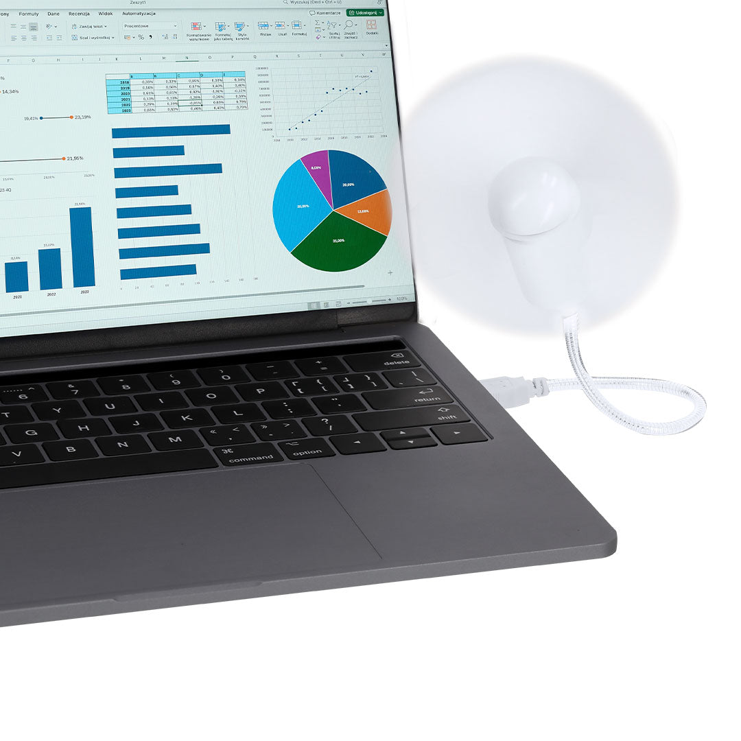 Ventilador Winsord (8)