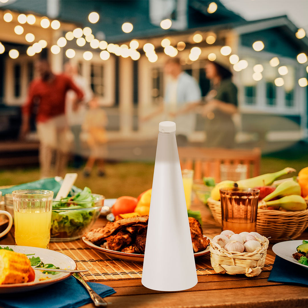 Ventilador Antimoscas Zuriko (7)