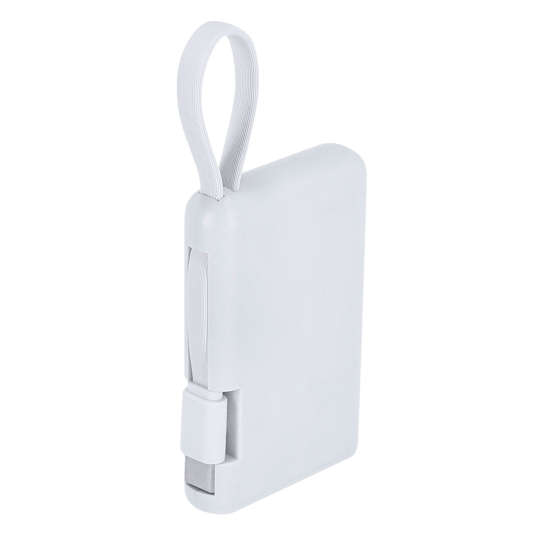 Power Bank Brandin (2)