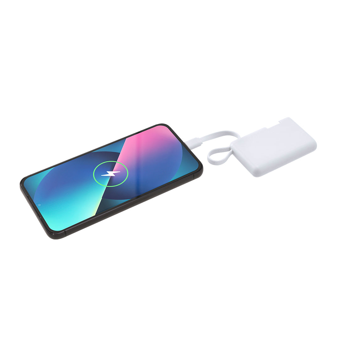 Power Bank Brandin (4)