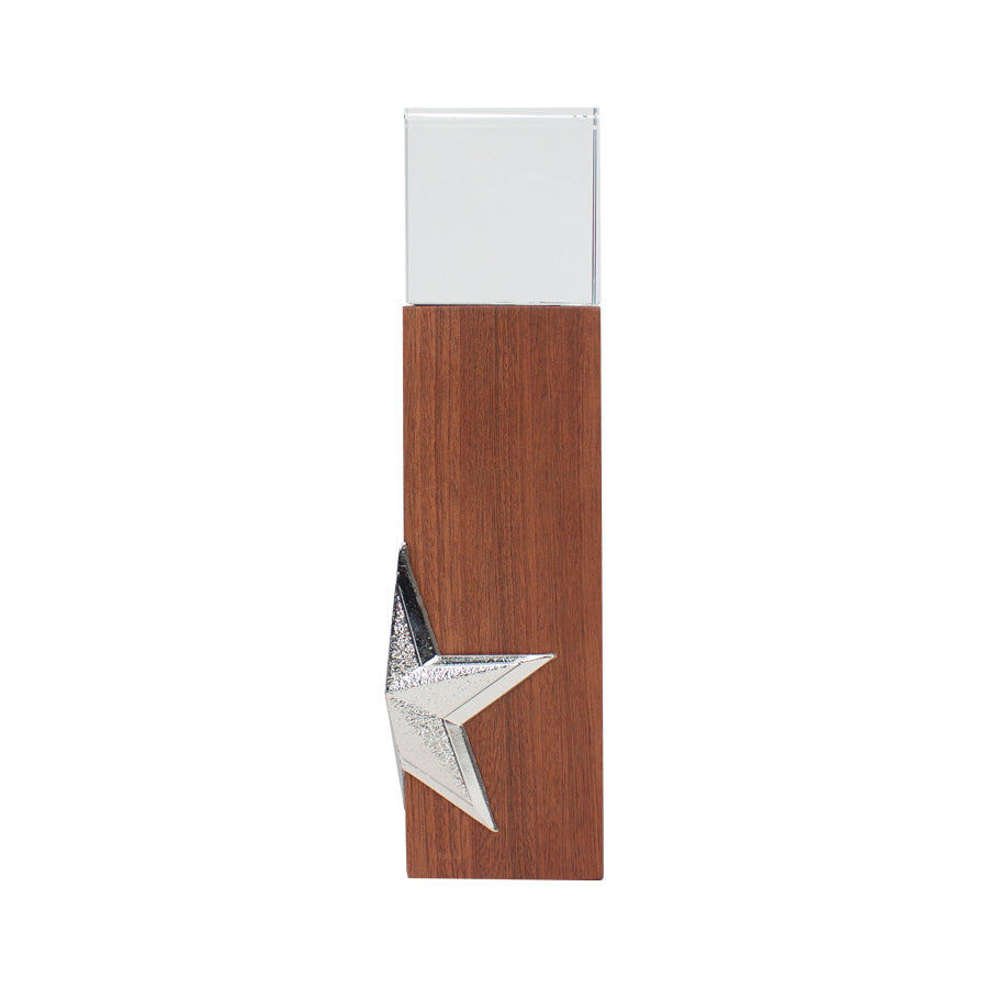 Trofeo de Madera y Cristal Silver Star (2)