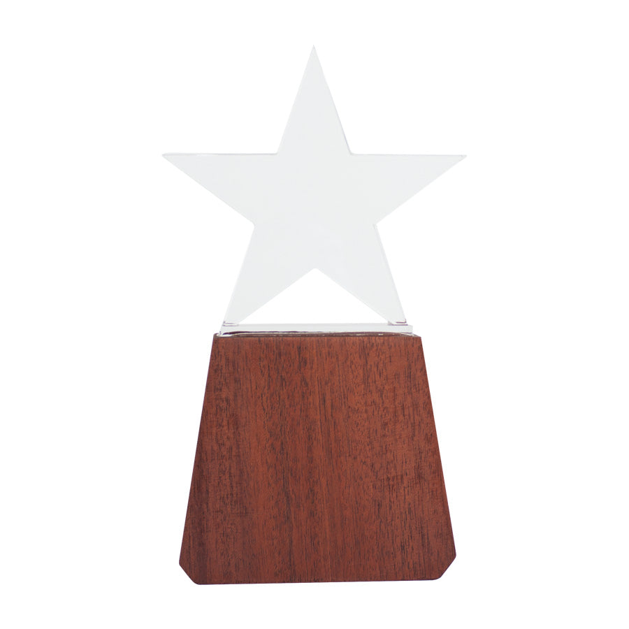 Trofeo de Madera y Cristal Lonely Star (2)
