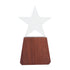 Trofeo de Madera y Cristal Lonely Star (2)
