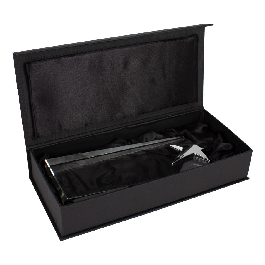 Trofeo Galvano de Cristal Ledecky (8)