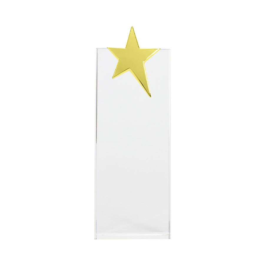 Trofeo Galvano de Cristal Ledecky (5)