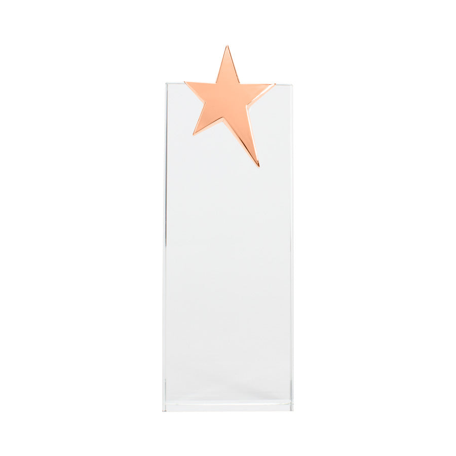 Trofeo Galvano de Cristal Ledecky (6)