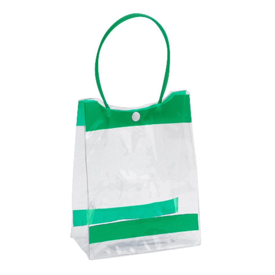 Bolsa de PVC Clear (4)