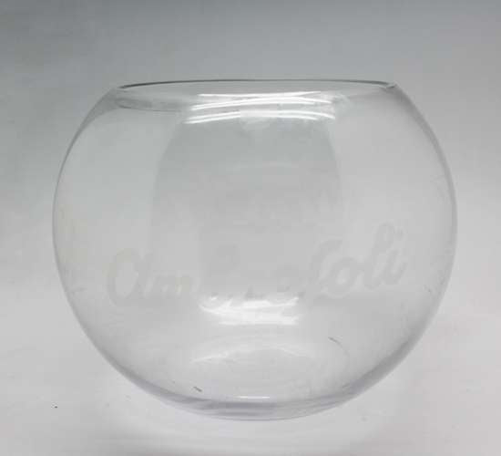 Pecera de Vidrio (2)