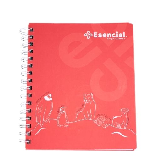 Cuaderno Esencial