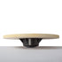 Disco Balance Board (5)