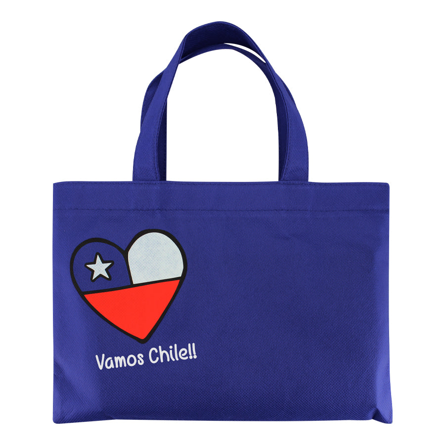 Bolsa TNT Vamos Chile (2)
