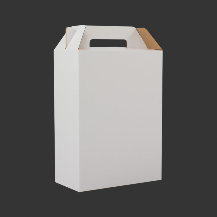 Caja autoarmable con asas 26x35x13 cm (3)