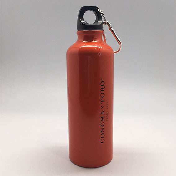 Botella Deportiva de Aluminio (2)