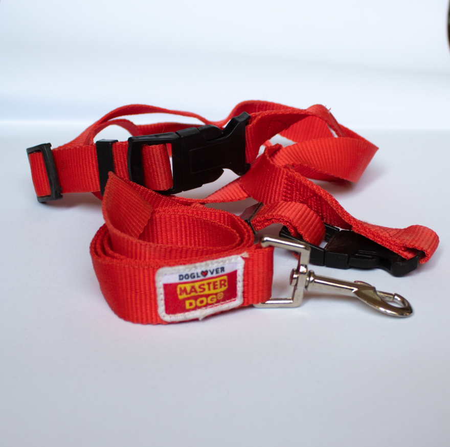 Collar mascota con luz (6)