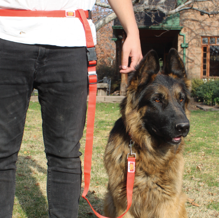 Collar mascota con luz (1)