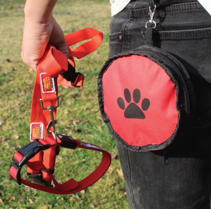 Collar mascota con luz (4)