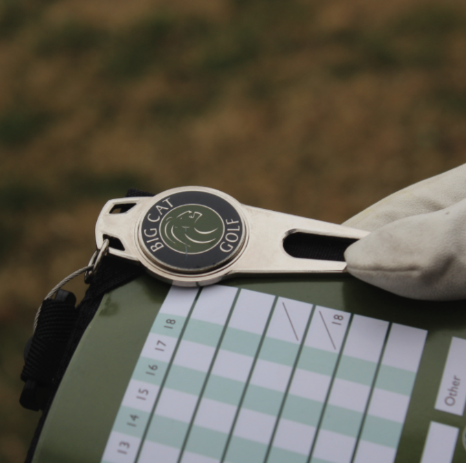 Levanta pique 2 dientes (1)