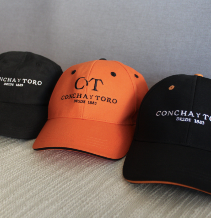 Jockey  Concha y Toro (1)