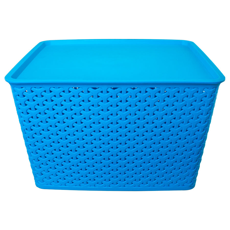Canasto plástico 24 lt con tapa (3)