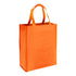 Bolsa Reutilizable Shopper (5)